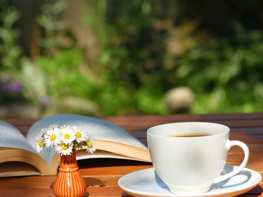 美好的一天从清晨开始用法语怎么说