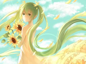 向日葵里的初音